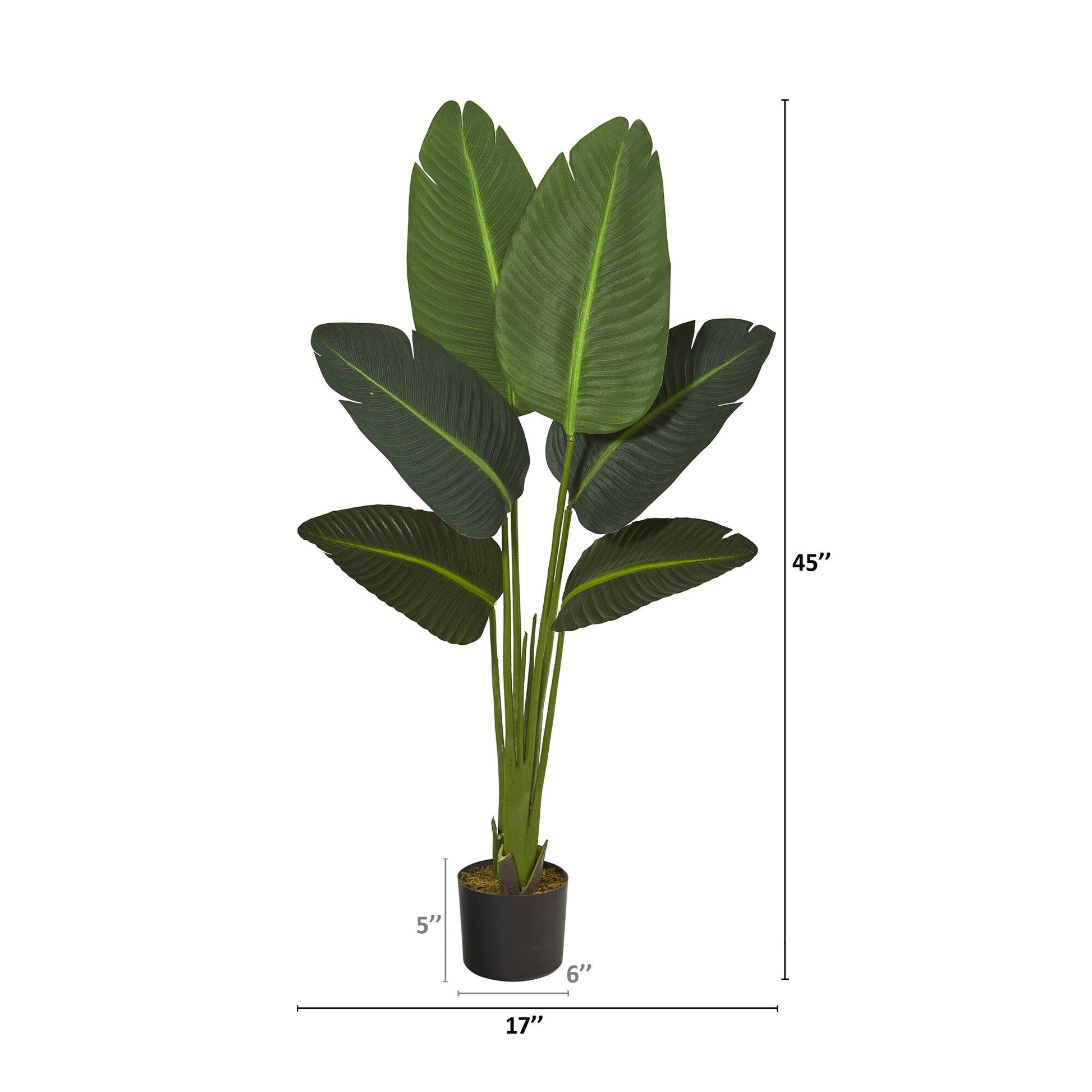 travellers palm plant Nearly Natural 45-in Travelers Palm Artificial Plant (Real Touch)