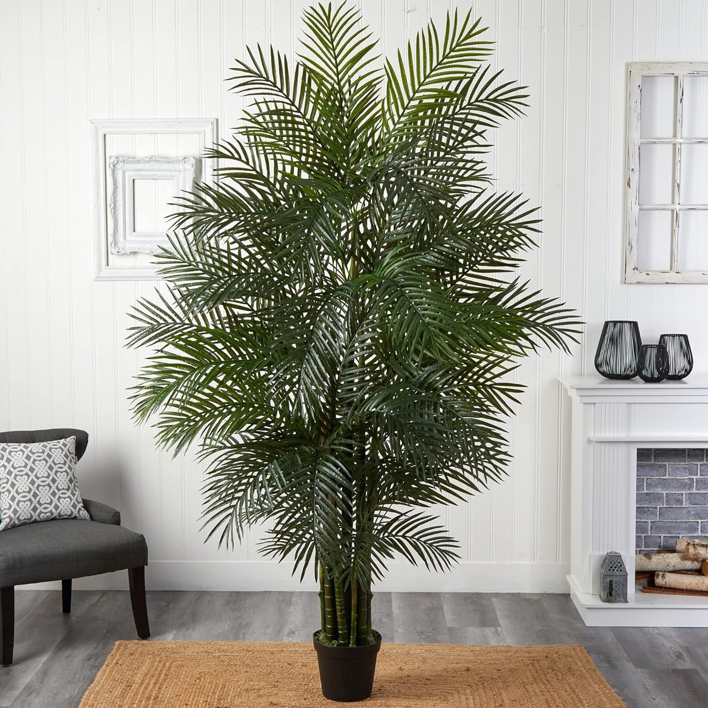 Elegant Areca Palm Tree in a natural bamboo vase, bringing a vibrant and sustainable greenery solution to any room decor