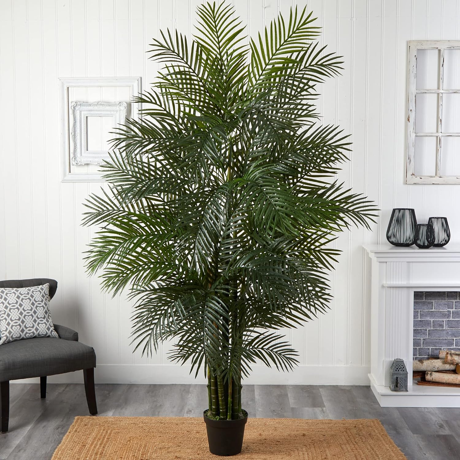 Elegant Areca Palm Tree in a natural bamboo vase, bringing a vibrant and sustainable greenery solution to any room decor