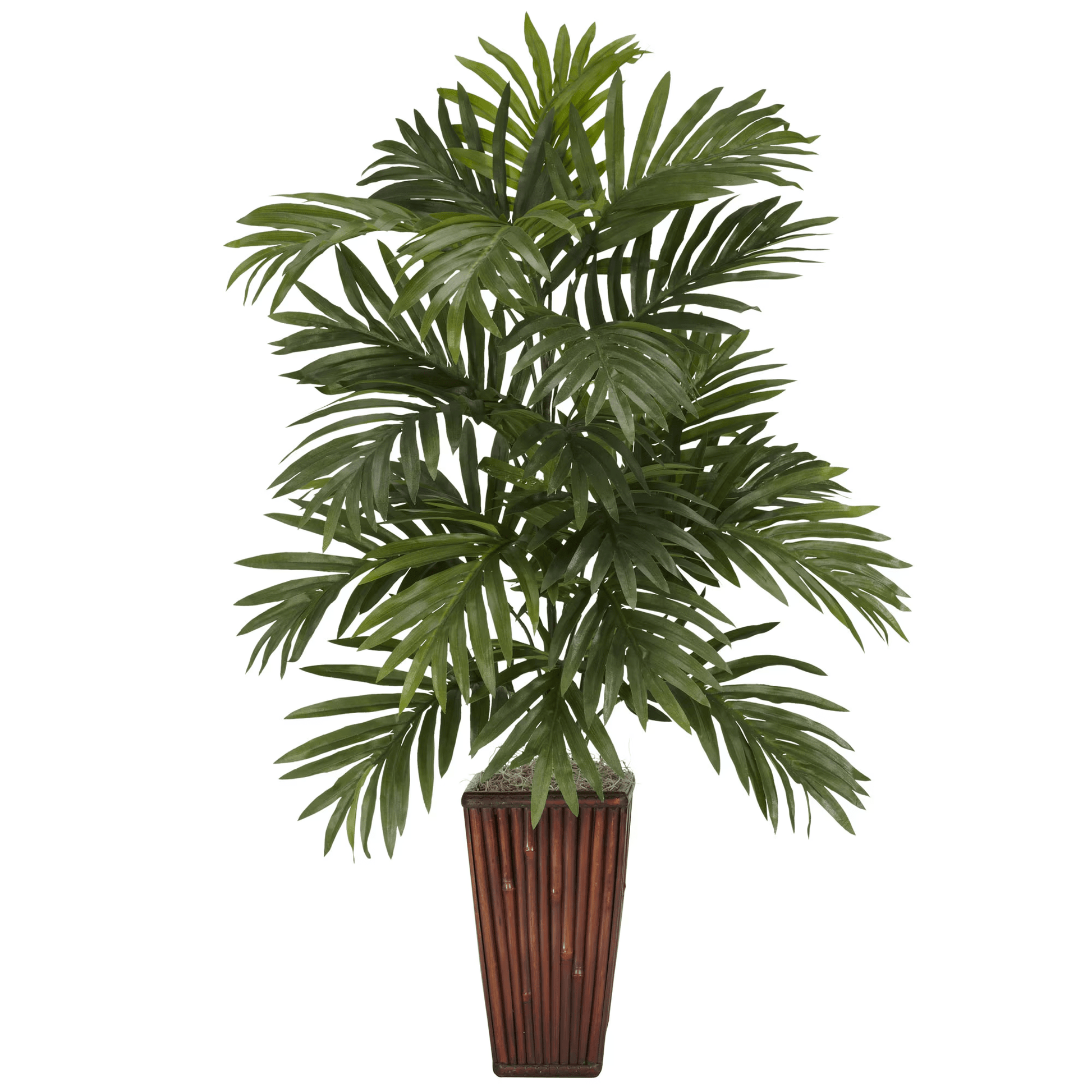 Maintenance-free Areca Palm plant in bamboo pot