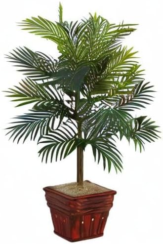 Decorative Areca Palm plant in stylish wicker basket