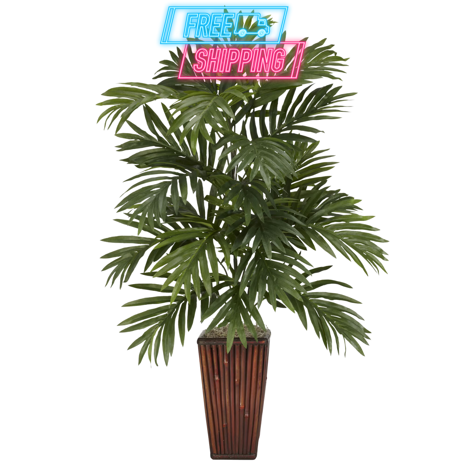 areca palm with pot Areca Palm in Bamboo Vase